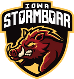 Stormboar