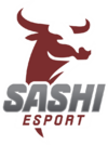 Sashi